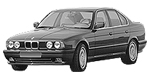 BMW E34 P191A Fault Code